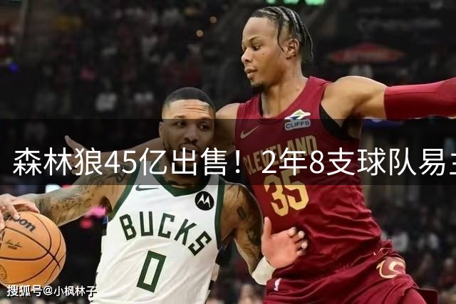 森林狼45亿出售！2年8支球队易主，为何NBA会掀起卖队潮？